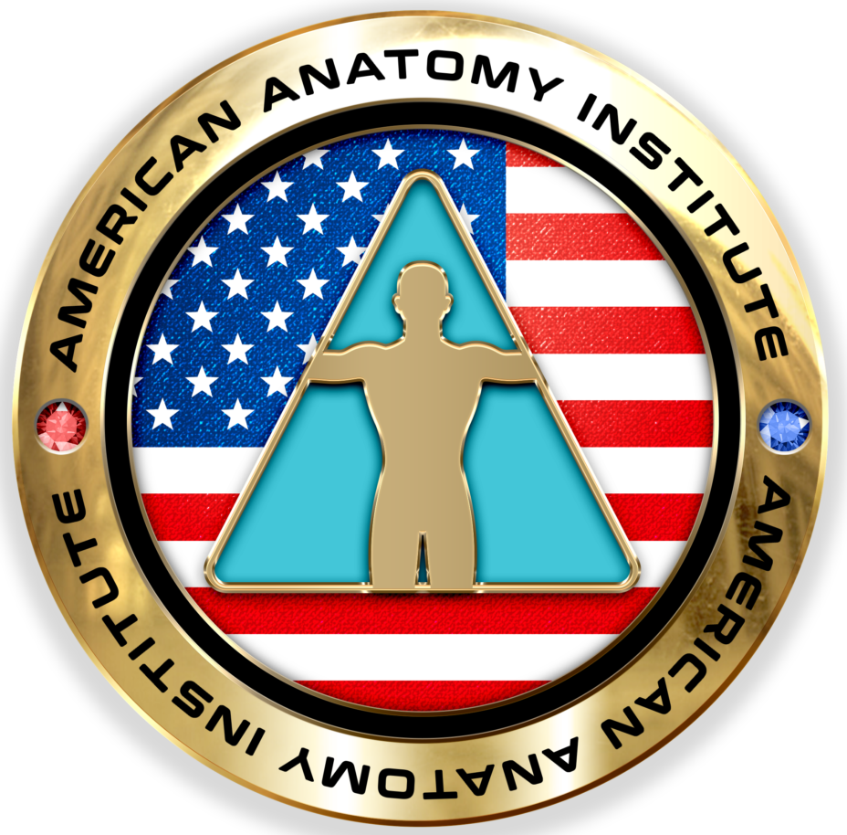 American Anatomy Institute