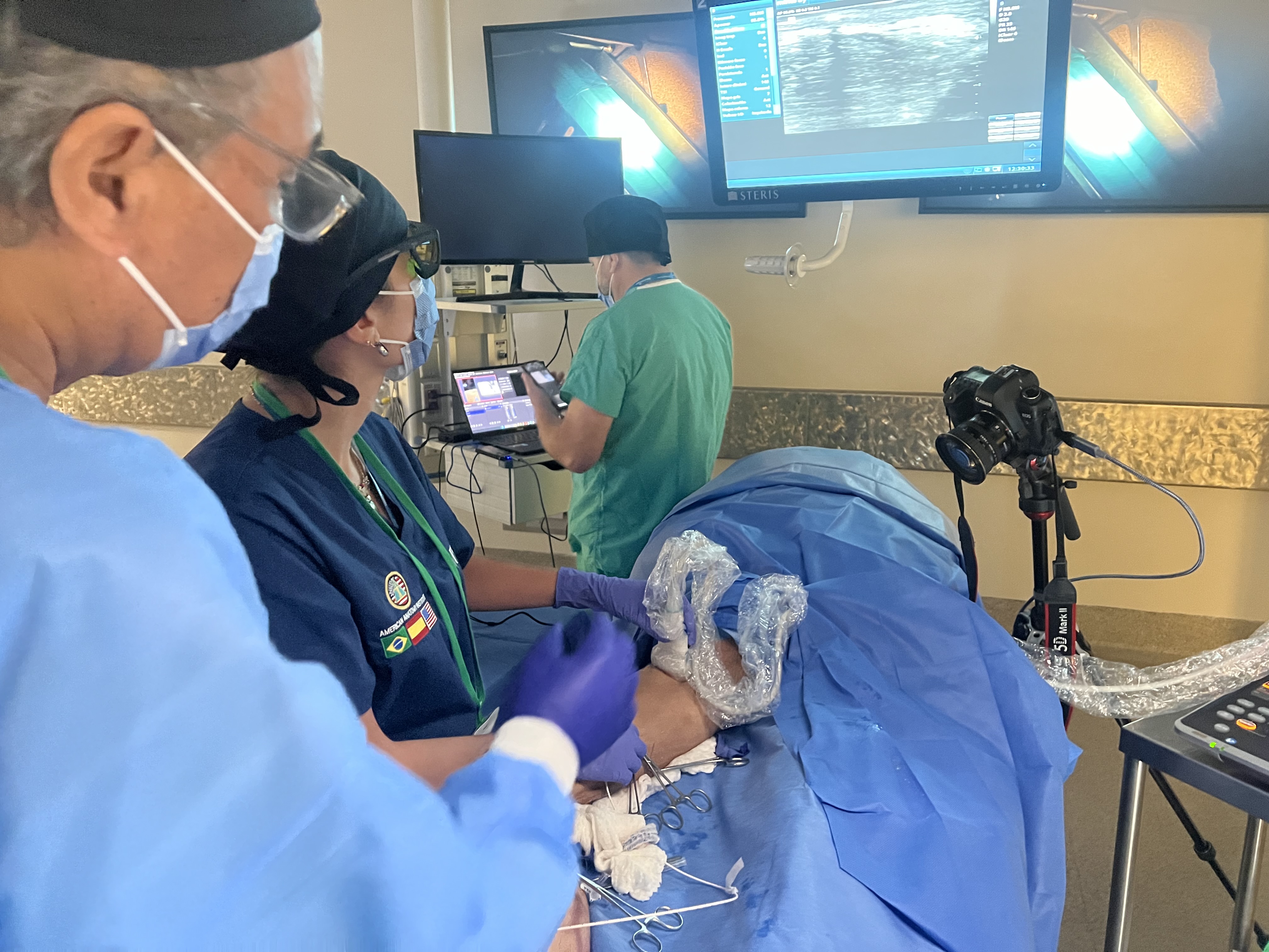 Ultrasound-guided endolaser
